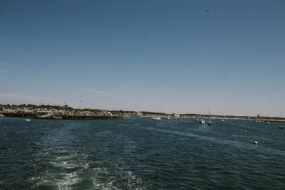 Whale Watching in Provincetown