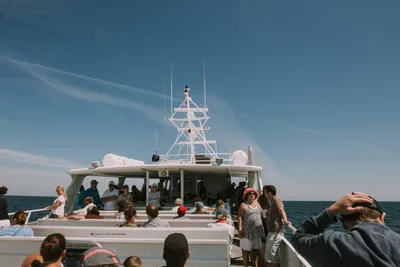 Brandon Templar at his desk