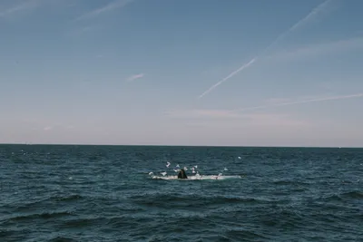 Brandon Templar at his desk