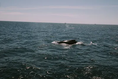Brandon Templar at his desk