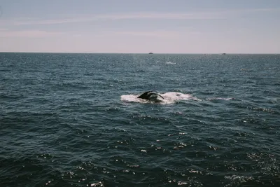 Brandon Templar at his desk