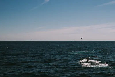 Brandon Templar at his desk