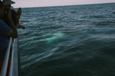 Brandon Templar at his desk