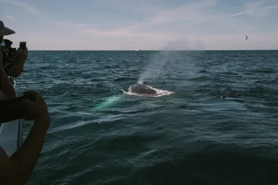Brandon Templar at his desk