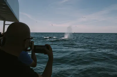Brandon Templar at his desk
