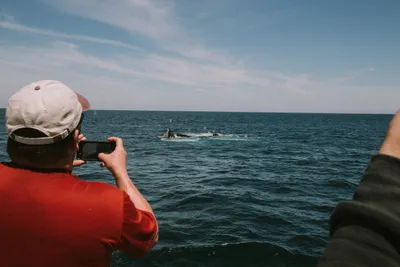 Brandon Templar at his desk