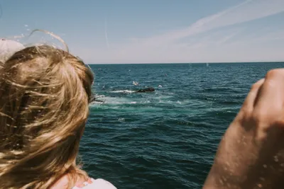 Brandon Templar at his desk