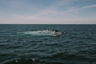 Brandon Templar at his desk