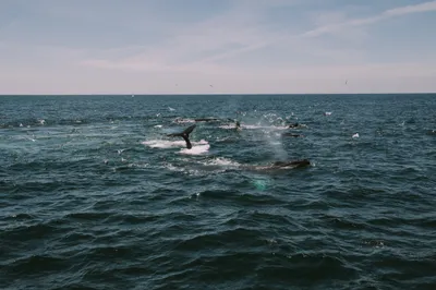 Brandon Templar at his desk