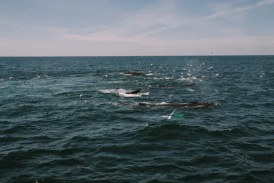 Brandon Templar at his desk