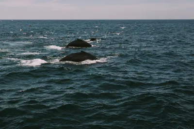 Brandon Templar at his desk
