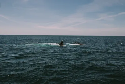 Brandon Templar at his desk