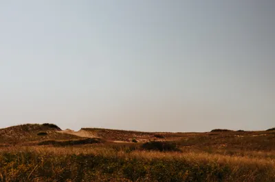 Brandon Templar at his desk