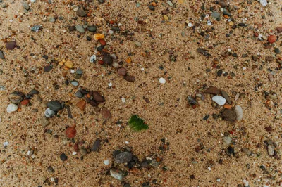 Brandon Templar at his desk