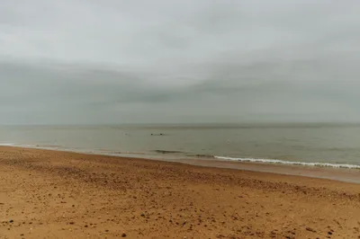 Brandon Templar at his desk