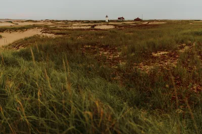 Brandon Templar at his desk