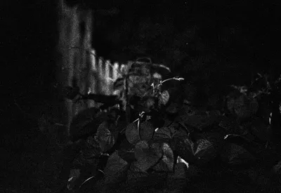 Brandon Templar at his desk