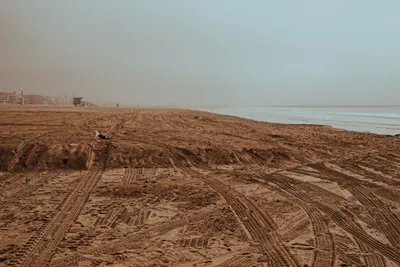 Brandon Templar at his desk