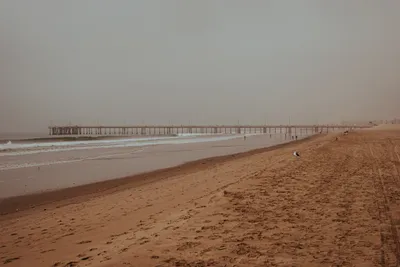 Brandon Templar at his desk