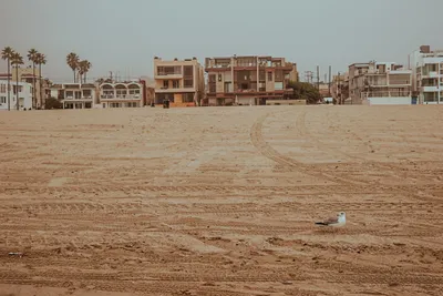 Brandon Templar at his desk