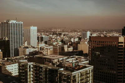 Brandon Templar at his desk