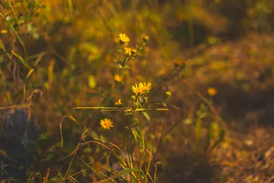 Brandon Templar at his desk