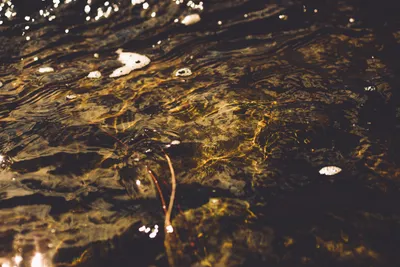Brandon Templar at his desk