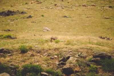 Brandon Templar at his desk