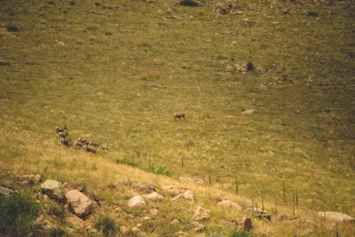 Brandon Templar at his desk