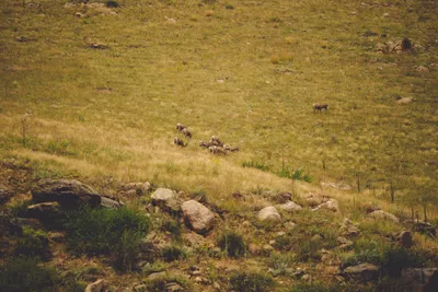 Brandon Templar at his desk