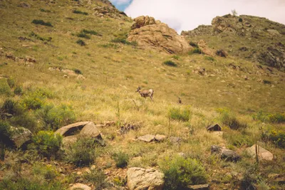 Brandon Templar at his desk