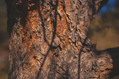 Brandon Templar at his desk