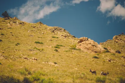 Brandon Templar at his desk