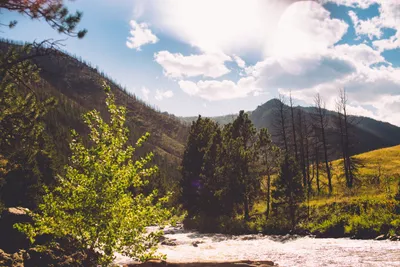 Brandon Templar at his desk