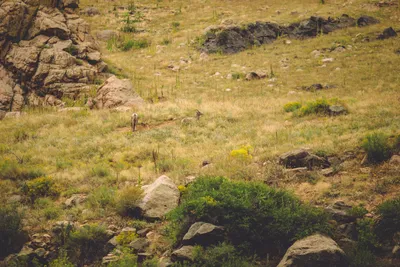 Brandon Templar at his desk